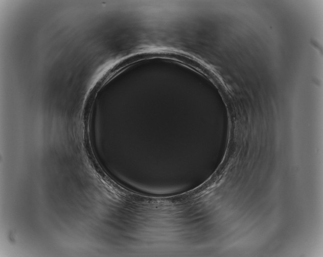 X0000094381319200711301351