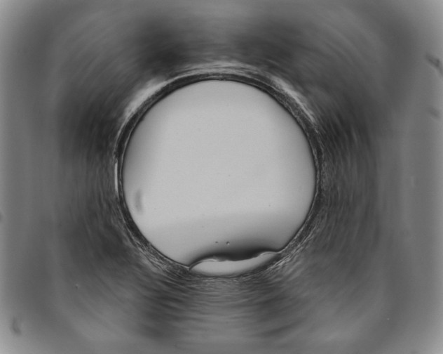X0000094381320200711301351