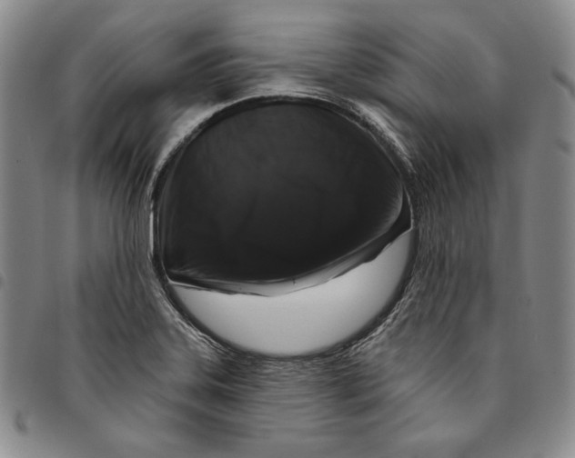 X0000094381323200711301351