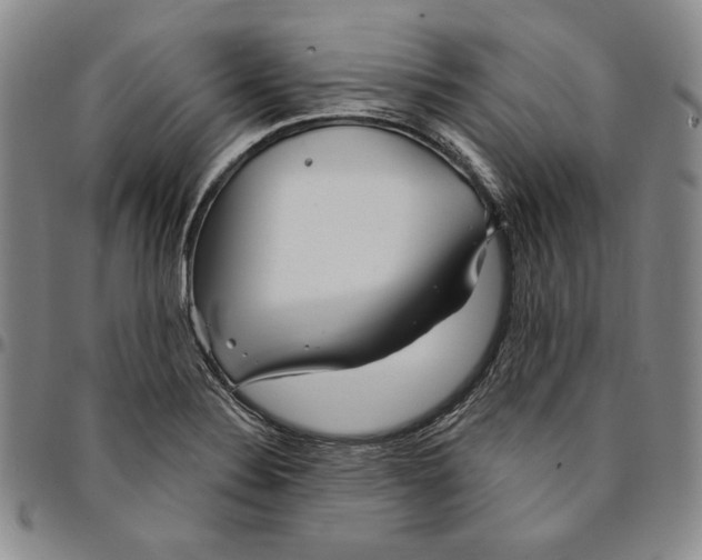 X0000094381324200711301351