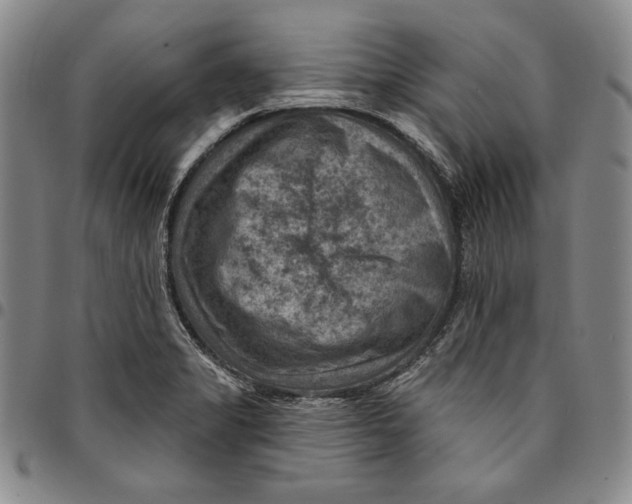 X0000094381325200711301351