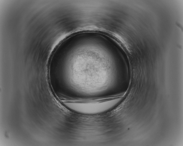 X0000094381326200711301351