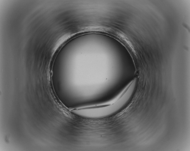 X0000094381328200711301351