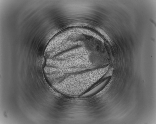 X0000094381329200711301351