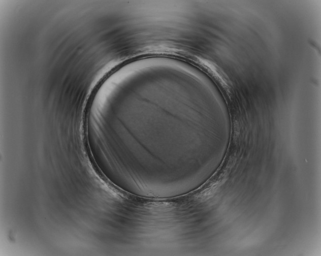 X0000094381331200711301352