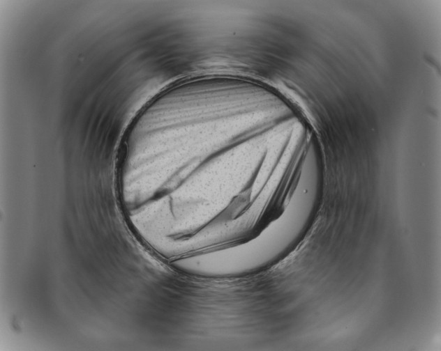 X0000094381333200711301352