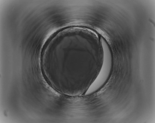 X0000094381334200711301352