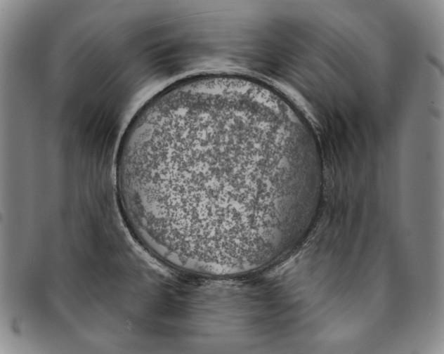 X0000094381335200711301352