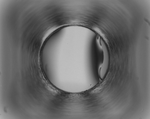 X0000094381336200711301352