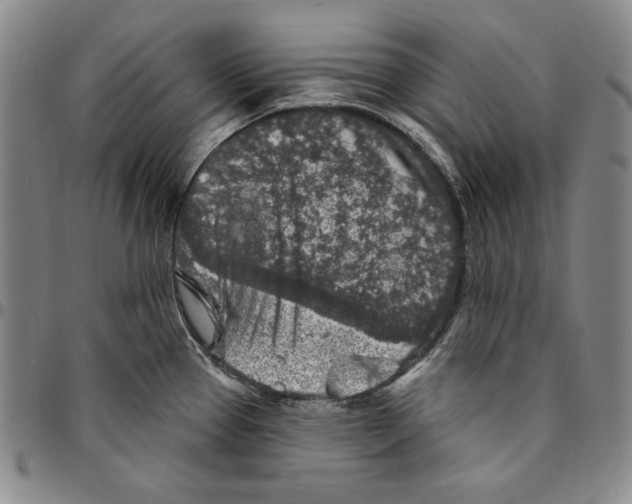 X0000094381337200711301352