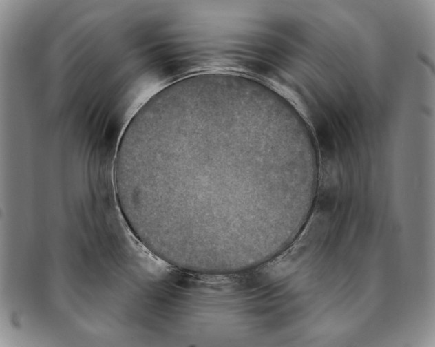 X0000094381338200711301352