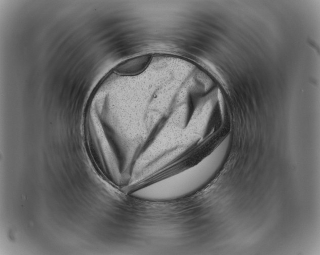 X0000094381339200711301352