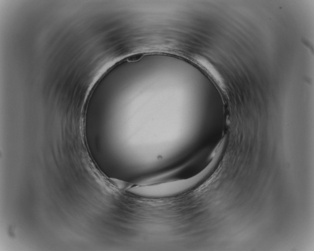 X0000094381340200711301352
