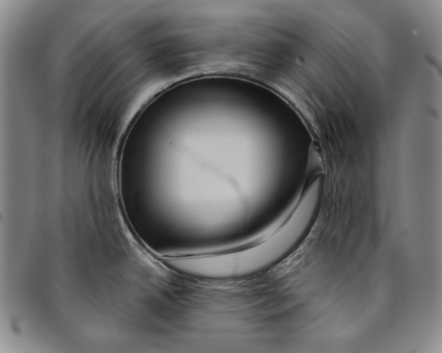 X0000094381342200711301352