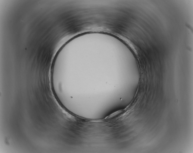 X0000094381343200711301352