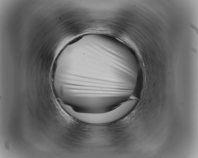 X0000094381344200711301352