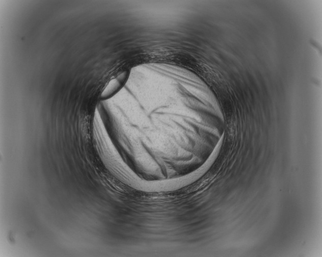 X0000094381346200711301351