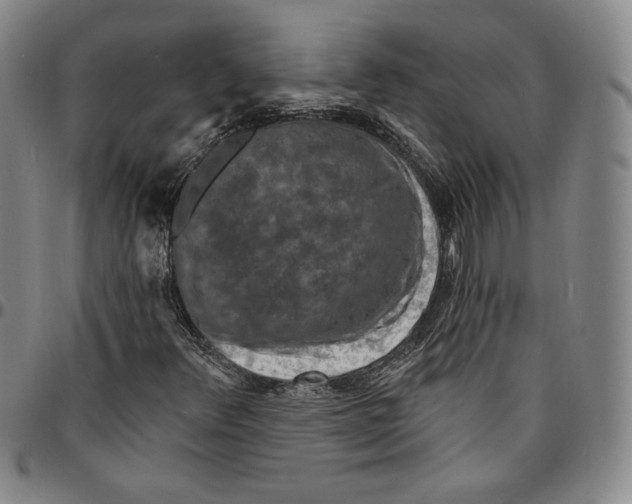 X0000094381348200711301351