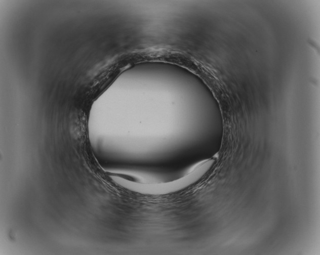 X0000094381349200711301351