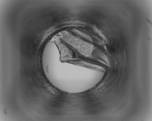 X0000094381352200711301351