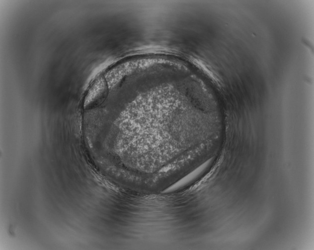 X0000094381358200711301351