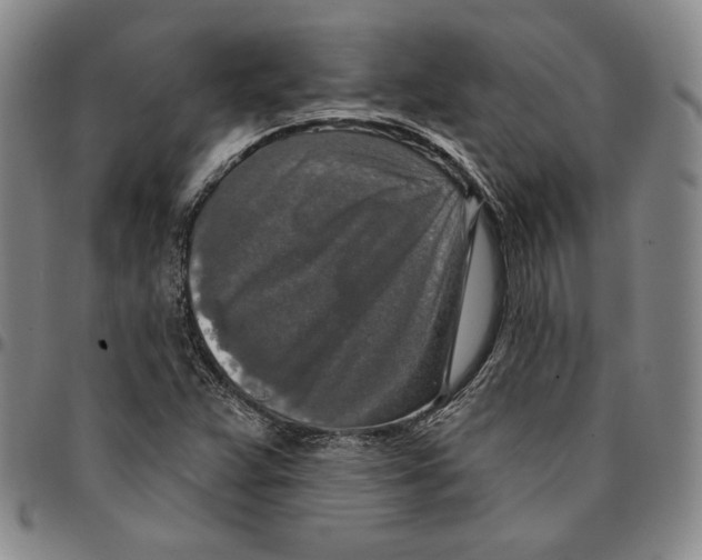 X0000094381359200711301351