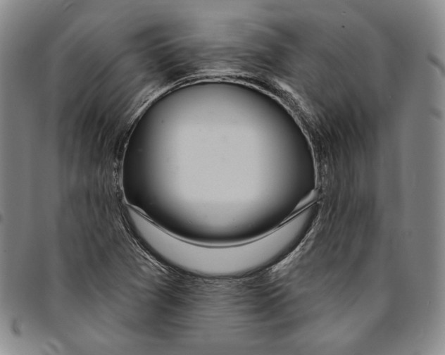 X0000094381361200711301351