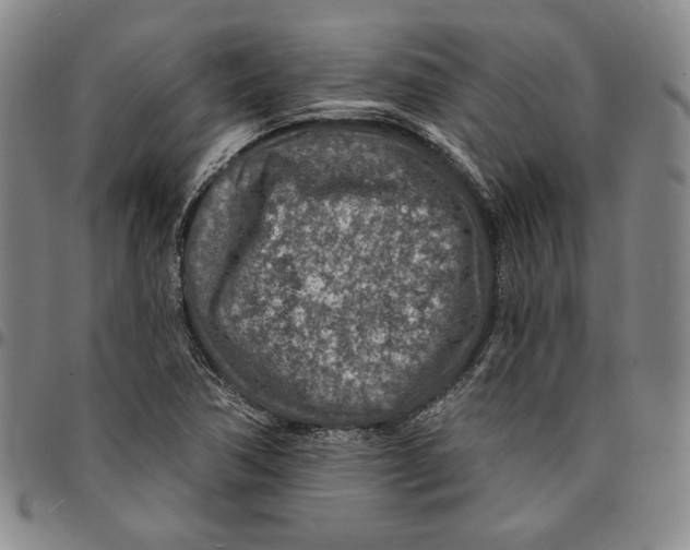 X0000094381362200711301351