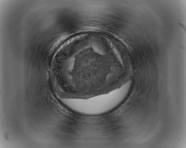 X0000094381363200711301351