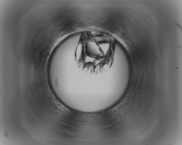 X0000094381364200711301351