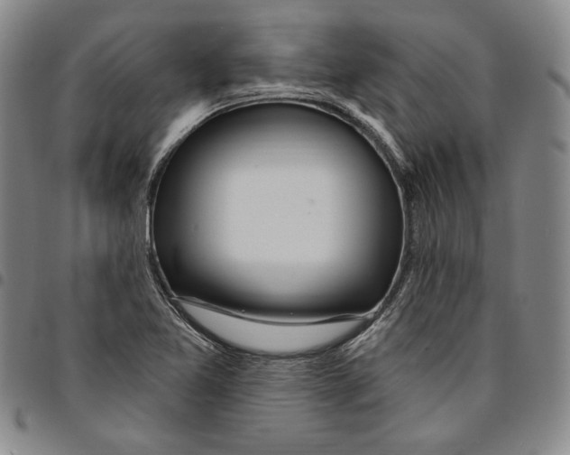 X0000094381365200711301351