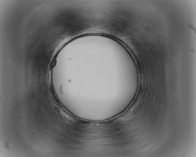 X0000094381366200711301351