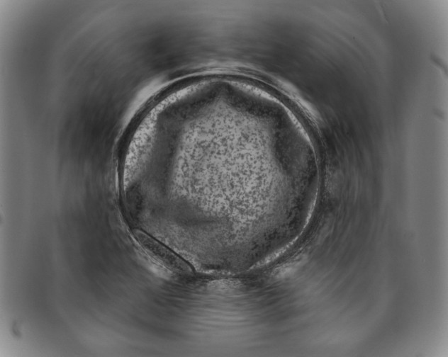 X0000094381368200711301351