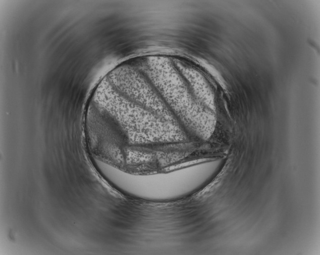 X0000094381373200711301350