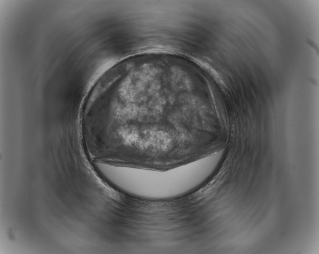 X0000094381375200711301350