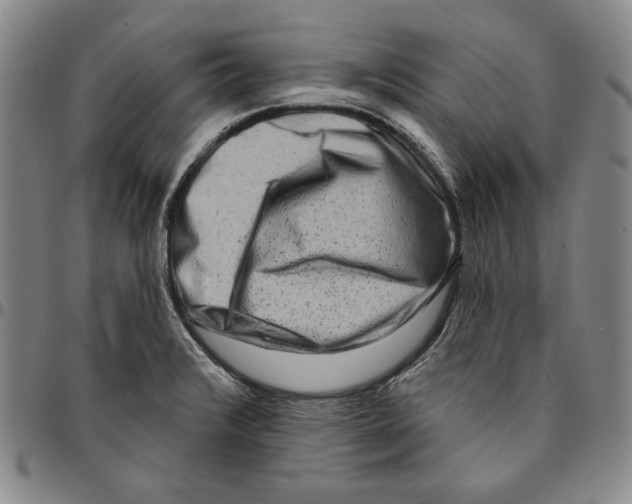 X0000094381376200711301350
