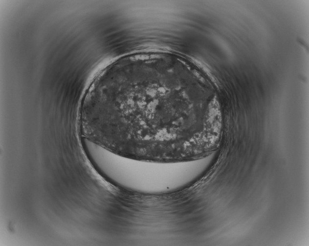 X0000094381379200711301350