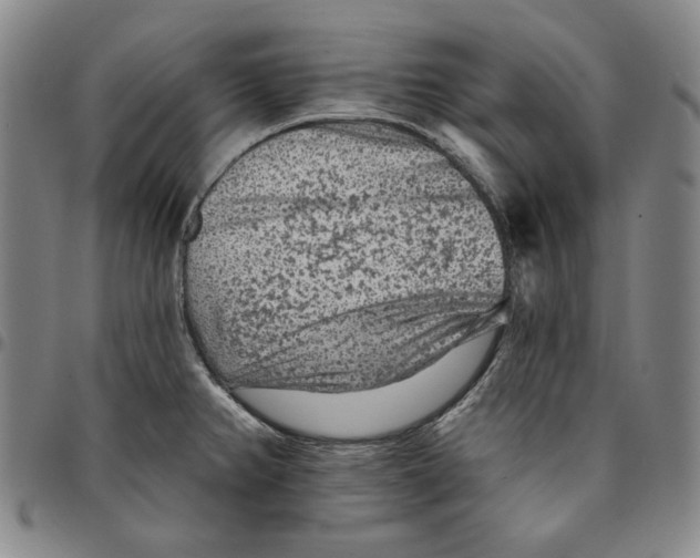X0000094381382200711301350