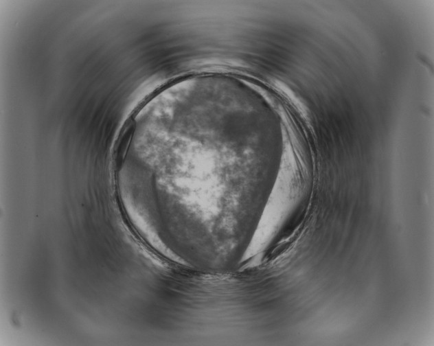 X0000094381384200711301350
