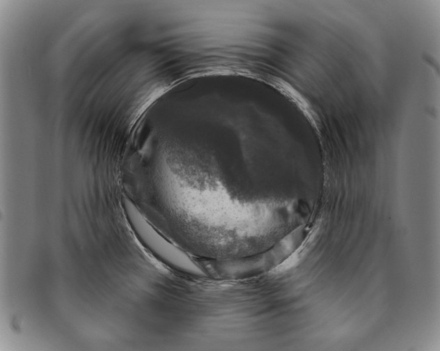 X0000094381385200711301350