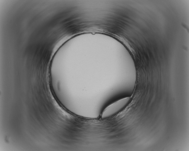 X0000094381387200711301350