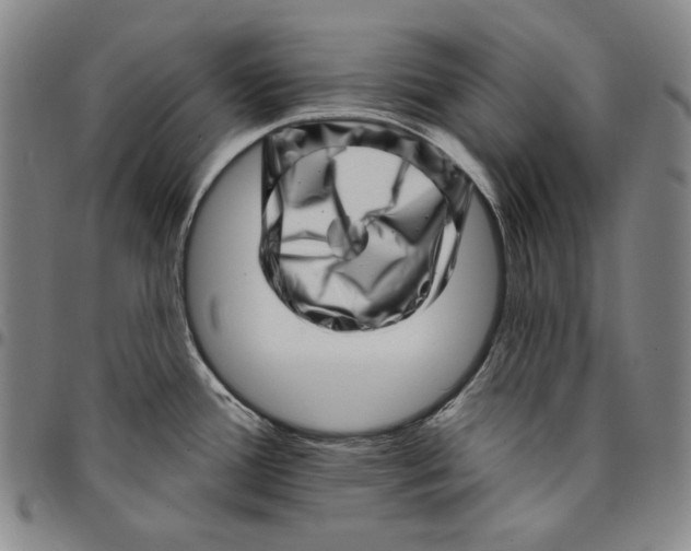 X0000094381388200711301350