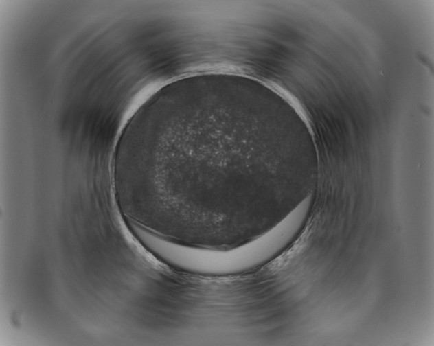 X0000094381389200711301350