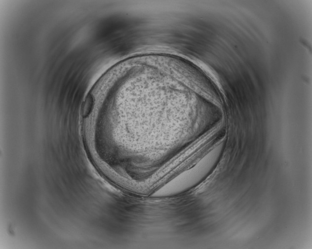X0000094381390200711301350