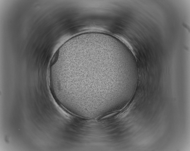 X0000094381391200711301350