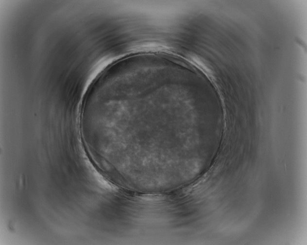 X0000094381392200711301350