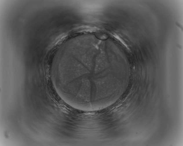 X0000094381399200711301350