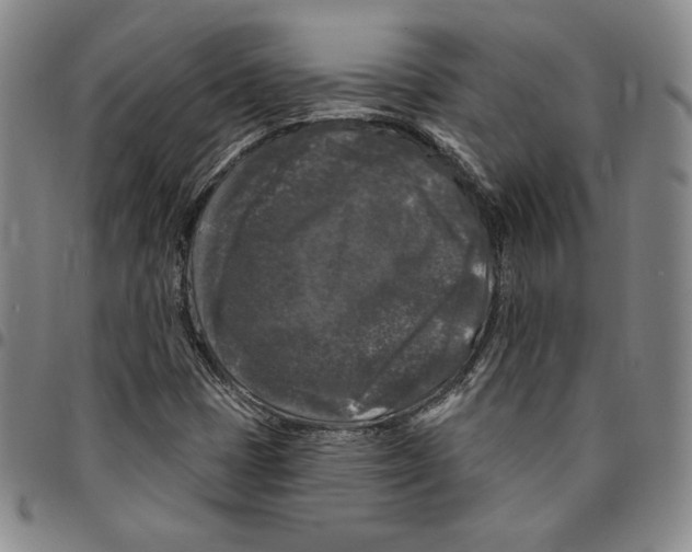 X0000094381401200711301350
