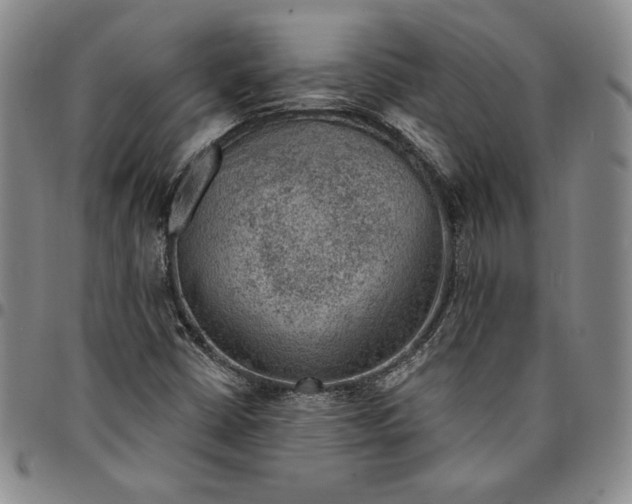 X0000094381402200711301350