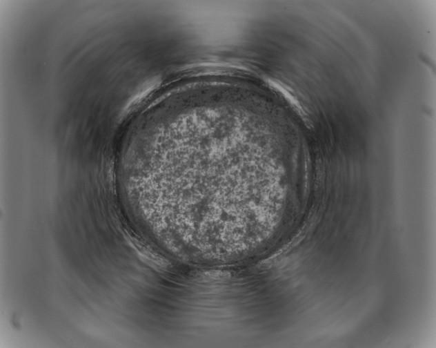 X0000094381403200711301350